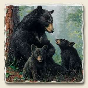  Black Bear Family Absorbastone New Tumbled Stone Trivet 