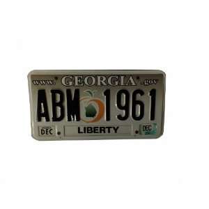   .Gov grey background black numbers License Plate 