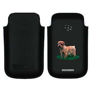  Norfolk Terrier on BlackBerry Leather Pocket Case  