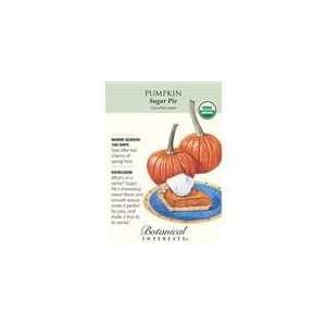  Botanical Interest   Pumpkin Sugar Pie (Certified Organic 