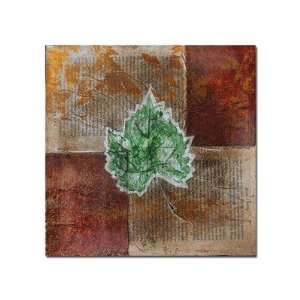   Rusty Leaf II by Nicole Dietz, Canvas Art   14 x 14