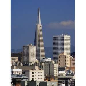  San Francisco Skyline and Trans America Building, San Francisco 