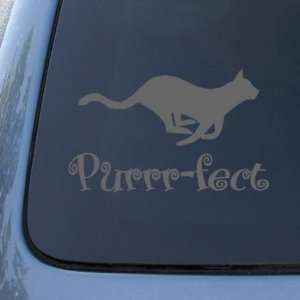 PURRR FECT CAT   Vinyl Car Decal Sticker #1547  Vinyl 