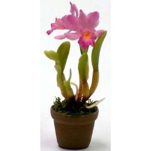 Miniature Cattleya Orchid Grocery & Gourmet Food