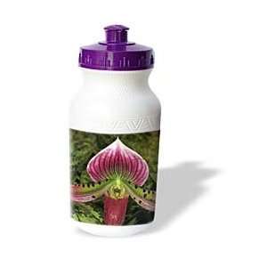  Jackie Popp Nature N Wildlife flowers   Pink Orchid 