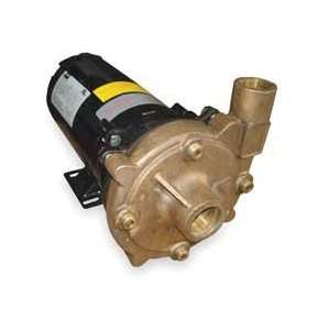Dayton 2ZXA2 Centrifugal Pump, 1 HP, 3 Ph, 230/460V  