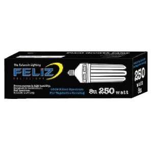    Feliz 250 Watt Compact Fluorescent Bulb 6500K