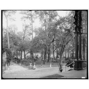  Grounds at the Pine Forest Inn,Summerville,S.C.