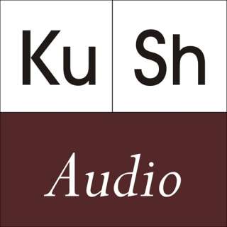 KUSH AUDIO MAIN GAIN MONITOR CONTROLLER NEW AUTH DLR  