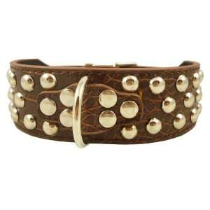   Faux Croc Leather Studded Dog Collar 2 Wide, 40 Studs