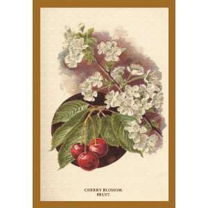 Cherry Blossom Fruit 16X24 Canvas Giclee