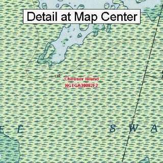  USGS Topographic Quadrangle Map   Chesser Island, Georgia 