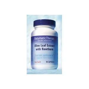  Olive Leaf Extract W/   90   Capsule Health & Personal 