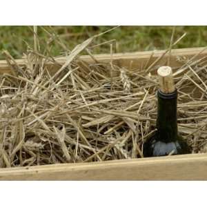  Wine in the French Army Camp at a Reenactment on the 