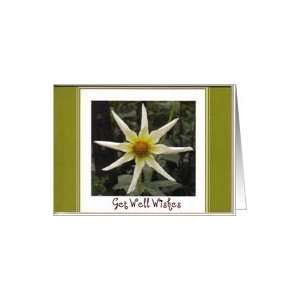  Beautiful Star Flower Get Well Greeting Card Card Health 