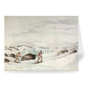  Hunting buffalo on snow shoes (colour litho)   Greeting 