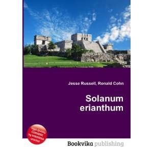  Solanum erianthum Ronald Cohn Jesse Russell Books