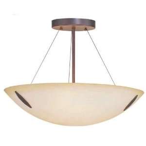  International Lighting E8445 02 Artisan Bronze 