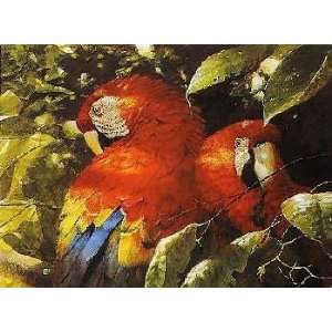  John Seerey Lester   Scarlet Macaw Pair