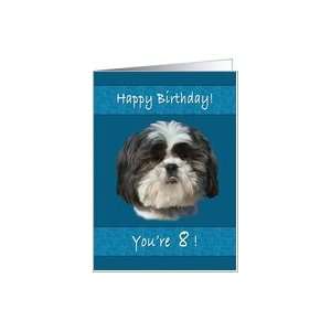  Birthday, 8th, Shih Tzu Dog Card Toys & Games