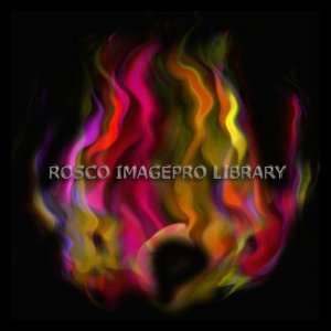  Rosco iPro Slide Fire P2356 Electronics