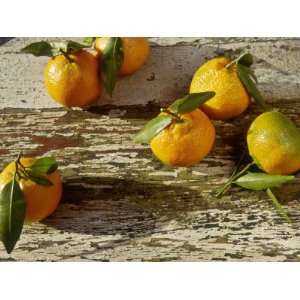 Clementine Fruits & Leaves (Citrus Reticulata Clementine) Premium 