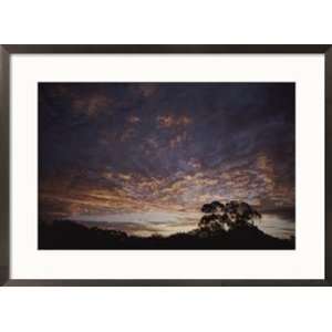  Cloud formations and silhouetted trees at sunset Framed 