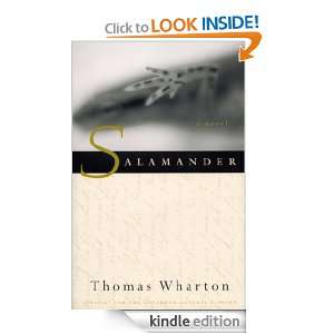 Start reading Salamander  