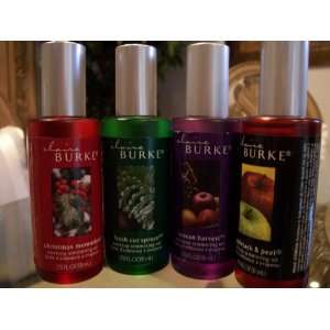  Claire Burke Stovetop Simmering Oils