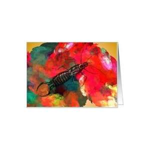  Earwig Pincher Bug Color Patch Greeting Card Card Health 