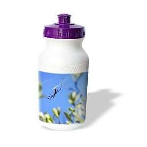  Florene Nature   Scary Spider   Water Bottles Sports 