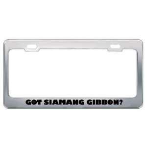  Got Siamang Gibbon? Animals Pets Metal License Plate Frame 