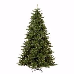  Camdon Fir 66 Artificial Christmas Tree with Clear Lights 