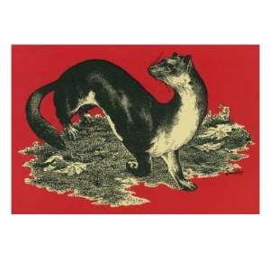  Nature Magazine   View of a Weasel, c.1949 Premium Poster 