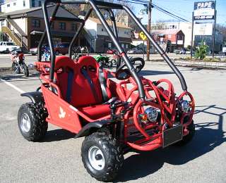   New 110cc 2 Seater Go Kart Dune Buggy Semi Automatic with Reverse