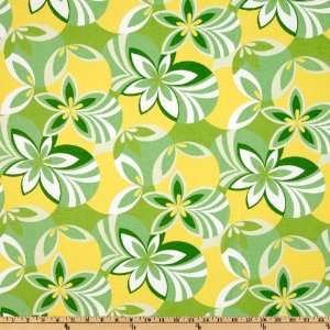  54 Wide Stretch Cotton Twill Tropics Lemon/Lime Fabric 