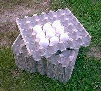 50 Paper chicken egg flats cartons hatching eggs  