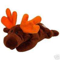 TY Beanie Baby~CHOCOLATE THE MOOSE DOB 4 27 93 Retired  