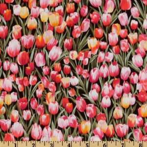  44 Wide Michael Miller Primavera Tulip Black Fabric By 