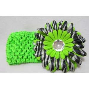  NEW Green and Zebra Daisy Flower Crochet Headband, Limited 