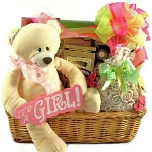   Princess   New Baby Girl Gift Basket   Great Shower Gift Idea Baby