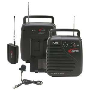    Wireless Battery Powered PA Pro System Musical Instruments