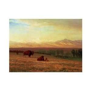  Albert Bierstadt   Buffalo On The Plains Giclee Canvas 