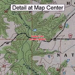  USGS Topographic Quadrangle Map   Bagley Lake, Mississippi 