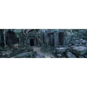  Overgrown Tree Roots on Ruins of a Temple, Ta Prohm Temple 