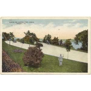 1917 Vintage Postcard   Scene on Grand View Drive   Peoria Illinois