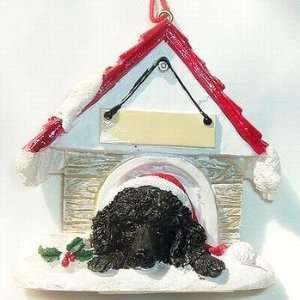  Poodle Black in Dog House