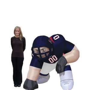  HOU Texans Bubba 5 Ft Inflatable Figurine Kitchen 