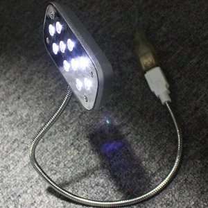    10 LED Super Bright Flexible Snake Light, Silver