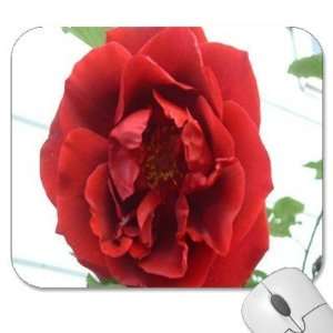   75 Designer Mouse Pads   Flowers Roses (MPRO 033)